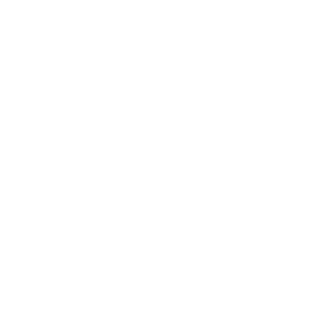 Accessibilità